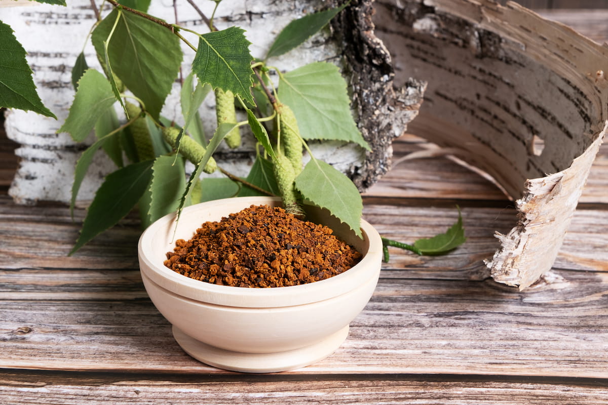 Top 5 Best Herbal Supplements For Immune System Support