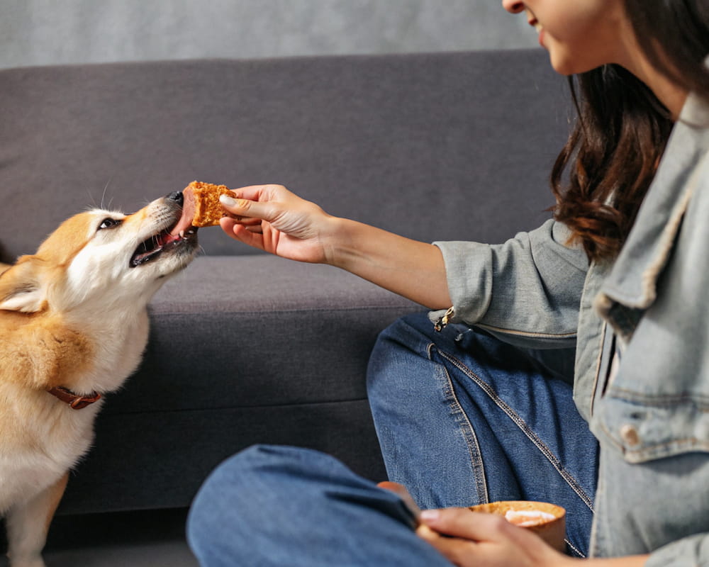 Pure, Transparent, and Trusted by Pet Owners